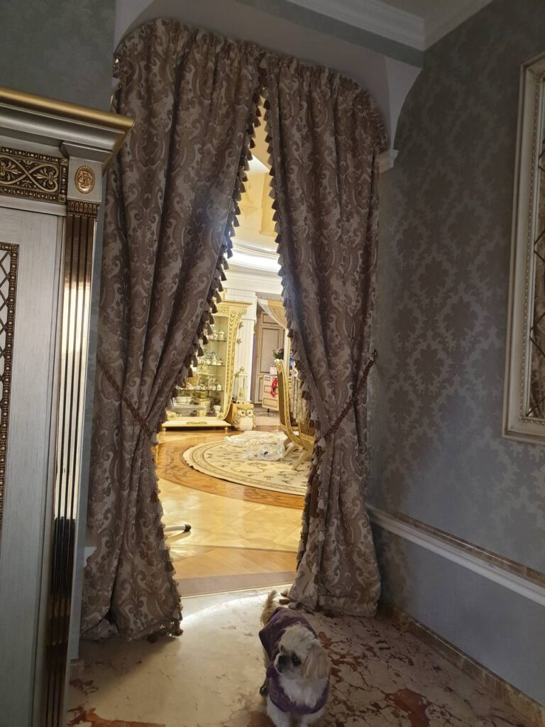 A small dog wearing a purple outfit stands on a ornate marble floor near an open, lavish curtain, revealing a luxurious, decorated room beyond.